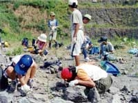 こども自然教室「恐竜化石を発掘しよう」のイメージ