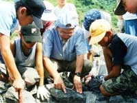 「ほら、ここに化石があったね」