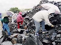 難波江(なばえ)にて化石採集を行いました