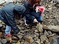 ガレ場で気をつけて化石を探します