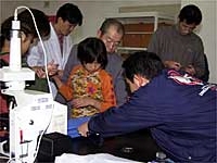 顕微鏡で観察しました