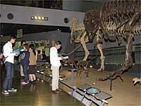 クイズ形式で展示室の標本を見ます