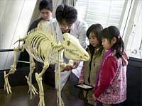 本物の骨ではどこに当たるかな