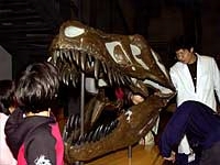 恐竜の骨も同じようになっています