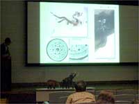 古来伝わる竜についての考察です