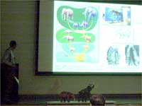 日本にいたゾウはどんなものだったのでしょう