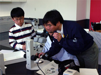 「微化石」が見えますか？