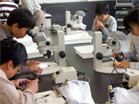 みんな興味しんしんです