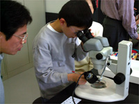 すごく小さな化石もおもしろいですね