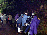 卯辰山にて観察した生痕化石を含む地層