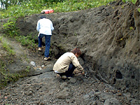 大桑貝橋とよばれる場所での採集