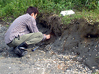 状態の良い標本が採れたようです