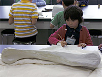 絵にかくことで、よく見ることができます