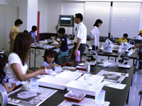 こども自然教室「恐竜時代の木を調べよう」のイメージ