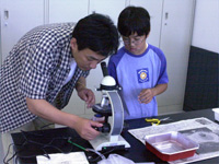 さっそく顕微鏡で見てみてましょう。