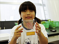 こども自然教室「葉脈標本をつくろう」のイメージ