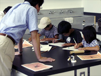 ワークシートにはいろいろな骨格がありました