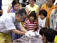 火打ち石は、お話の中の石と似た石なのだそうです。