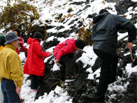 それでも雪からのぞく露頭を観察しました