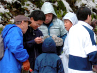 化石を発見したようです