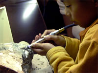 博物館の機器を使った作業をしました。