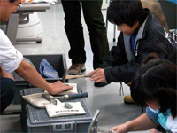 石を、調べやすい大きさに割っています