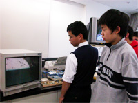 カメラで拡大です。どんな鉱物が見えるでしょう