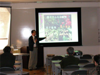 博物館セミナー「⑧生きた化石（植物編）―イチョウ・メタセコイア―」のイメージ