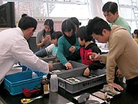 実習には用意された珪化木を使用しました