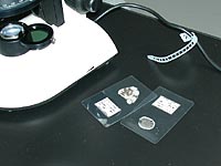 今回簡易的に作成した薄片標本プレパラート