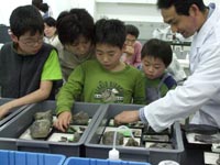 今回作成する木材化石の標本を選びます