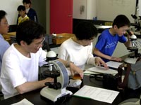 博物館自然教室「石を調べよう！－顕微鏡を使って石の魅力を探ろう－」のイメージ