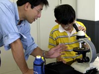 様々な石の薄片を観察します