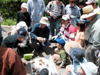 野外観察会「岐阜県荘川村付近の手取層群」のイメージ