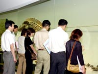 展示室での実践的な解説