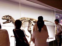 生徒に見せるべきポイントを学ぶ