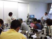 博物館自然教室「小さな化石を調べよう！－顕微鏡で見る化石－」のイメージ