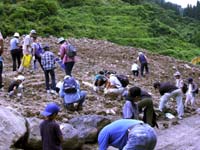 参加者は思い思いの場所で採集を行いました