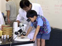 顕微鏡で細かいところを見てみましょう