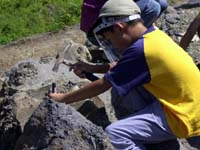 上手に岩をたたいて化石を見つけましょう