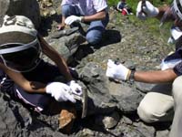 暑い上に化石もなかなか無く、大変でした