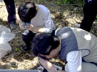 ロームを構成する鉱物を観察