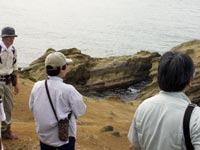 弁天岬付近の地層を観察