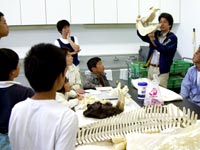 博物館自然教室「骨のかたちを調べよう！－脊椎動物化石研究の基礎－」のイメージ