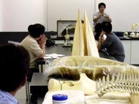 さまざまな動物の骨がそろえられました