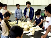 それぞれの箇所について調べます