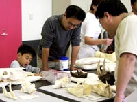 特徴を観察するポイントを学びます