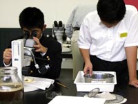 博物館自然教室「化石の植物を調べよう！」のイメージ