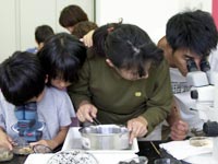 顕微鏡で化石の細部を観察