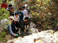 塩酸をかけて石灰岩であることを確認する